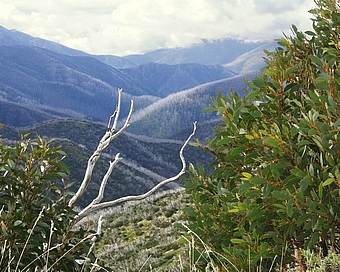 view from hotham heights