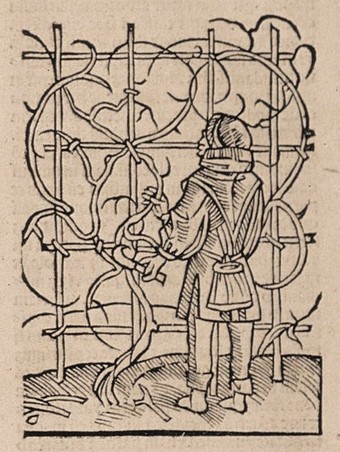 Petrus de Crescentijs zu teutsch mit figuren, ca. 1495 