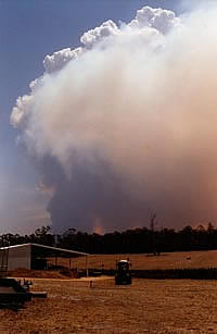 bush fire out of control